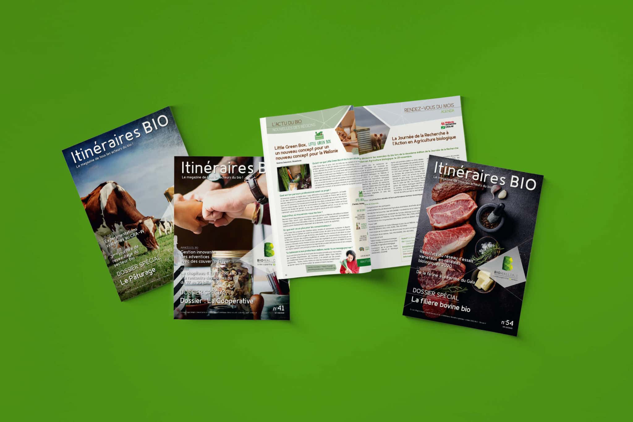 IDF-mockup-brochure3